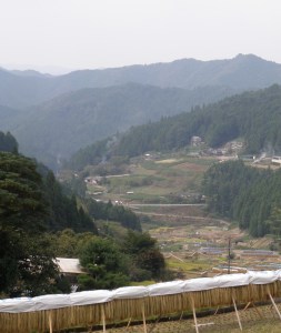 ???????????????????????????????